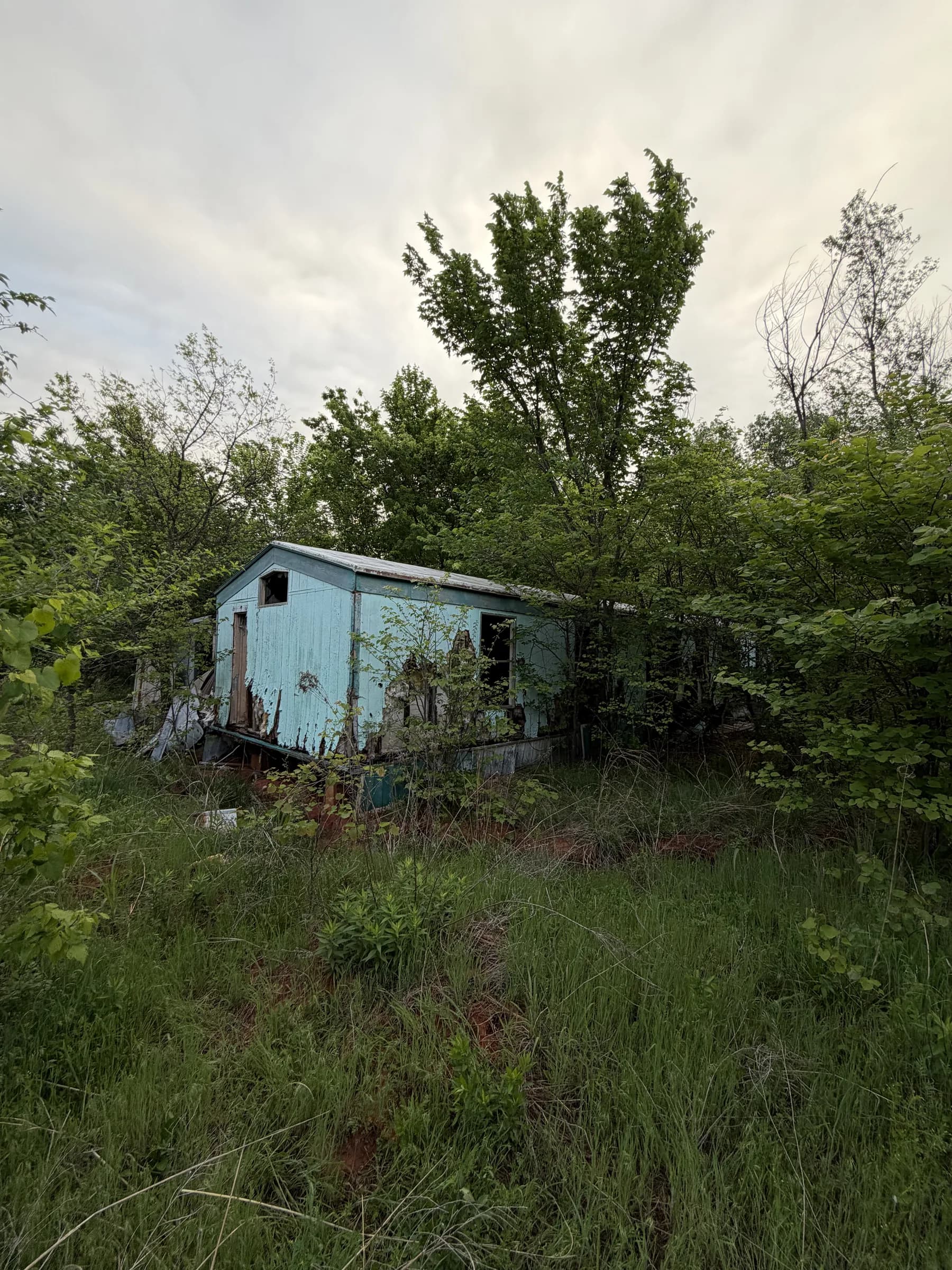 Before: Demo, drive and pad land clearing