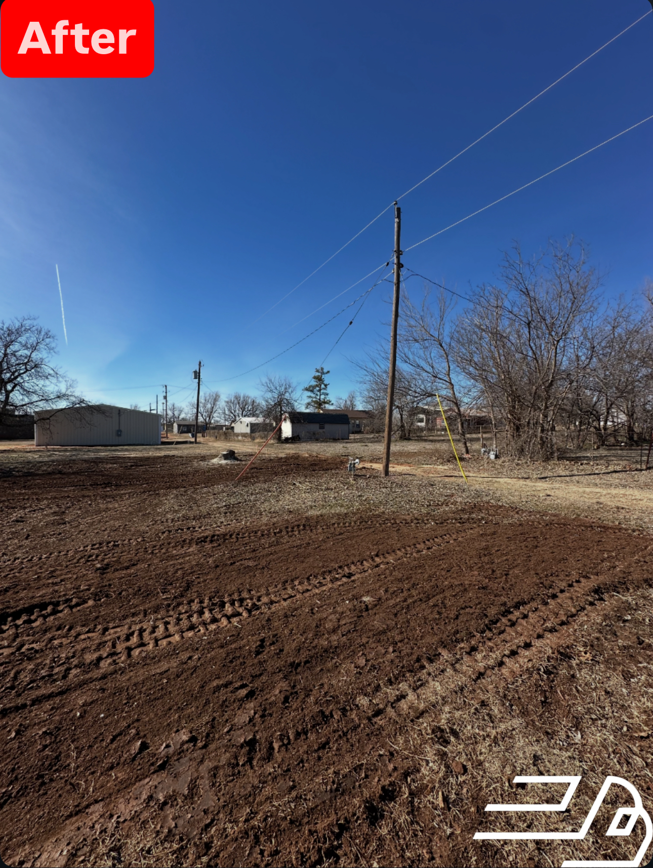 Trees under power line clean