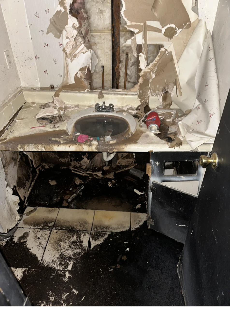 Before - Bathroom demolition