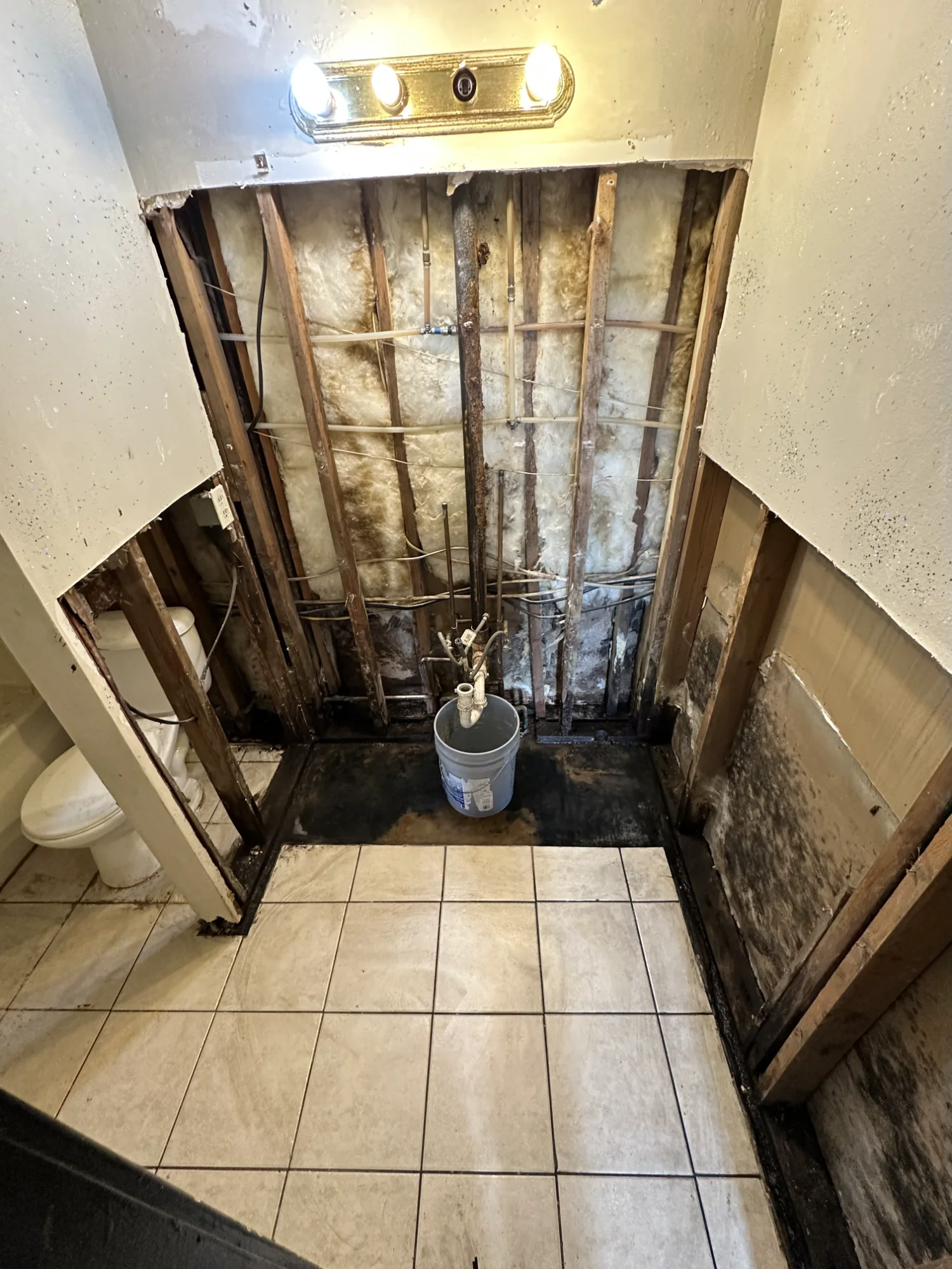 After - Bathroom demo complete